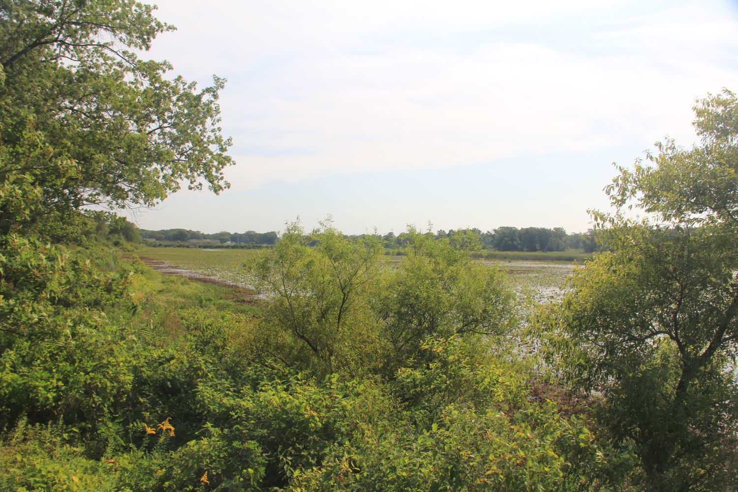 West Beach and Long Lake Trails 